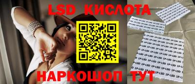 стафф Лесосибирск
