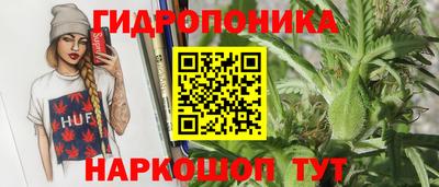 стафф Лесосибирск