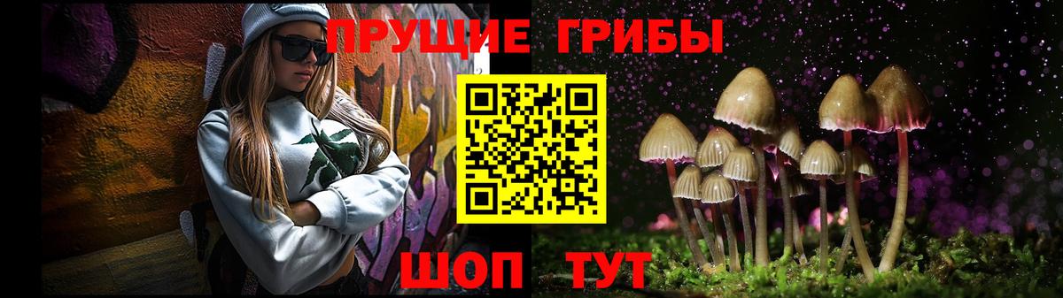 Псилоцибиновые грибы MAGIC MUSHROOMS Сертолово